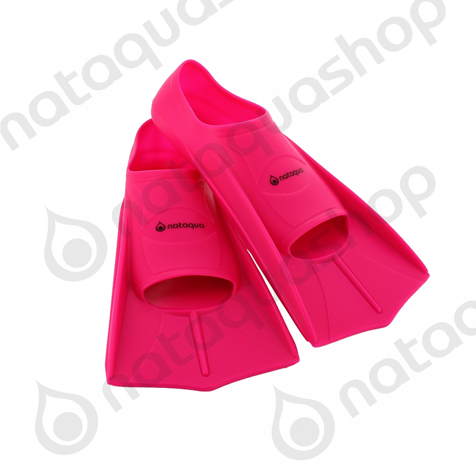 Palmes Nataquashop couleurs